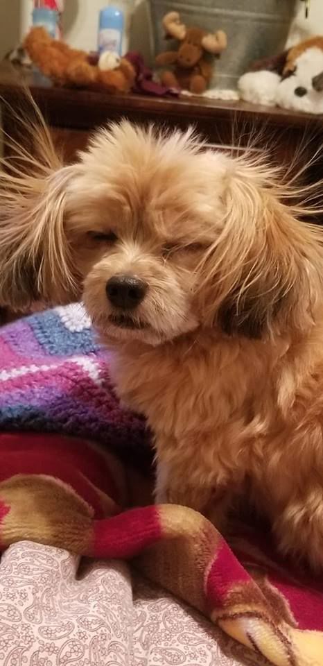 Elli and her bad hair day - Tammy Frauen.jpg